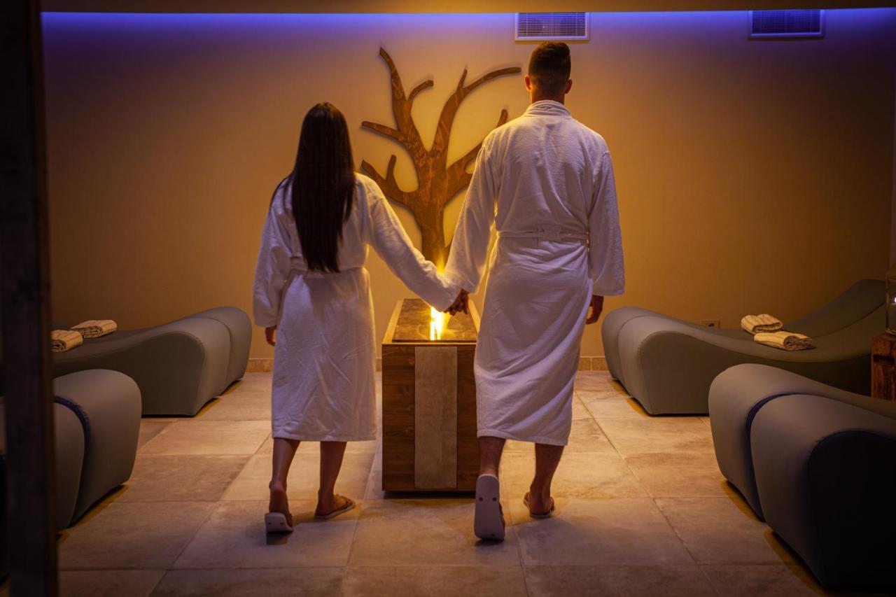 דסנזאנו דל גארדה Palace Hotel Desenzano מראה חיצוני תמונה