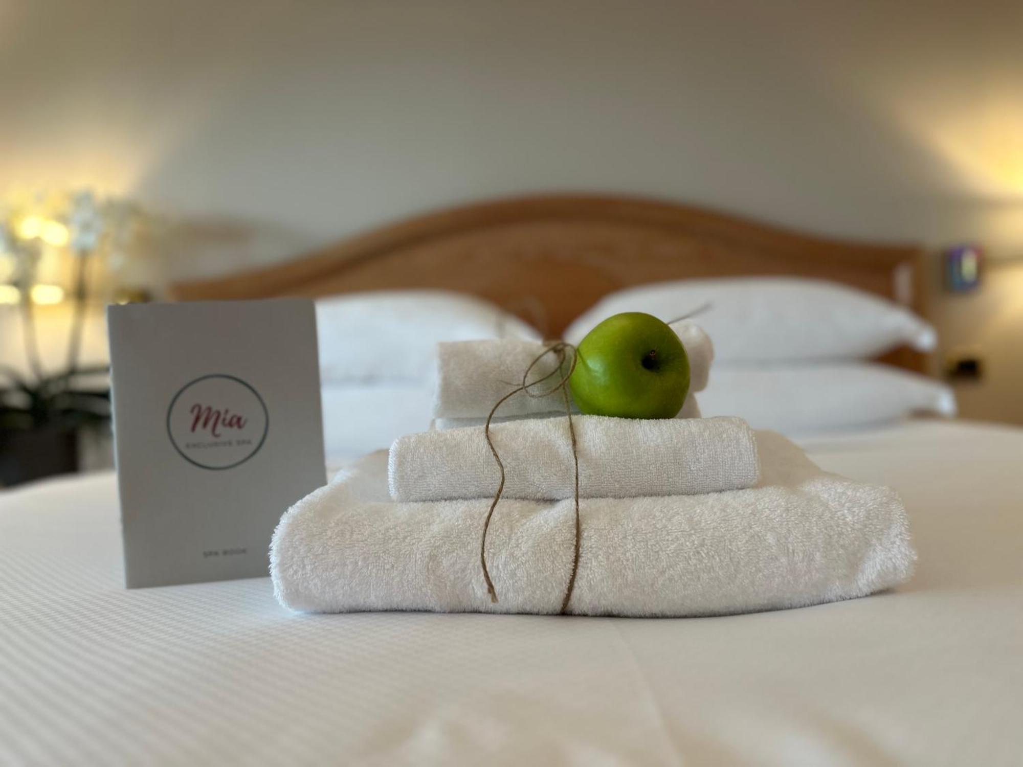 דסנזאנו דל גארדה Palace Hotel Desenzano מראה חיצוני תמונה